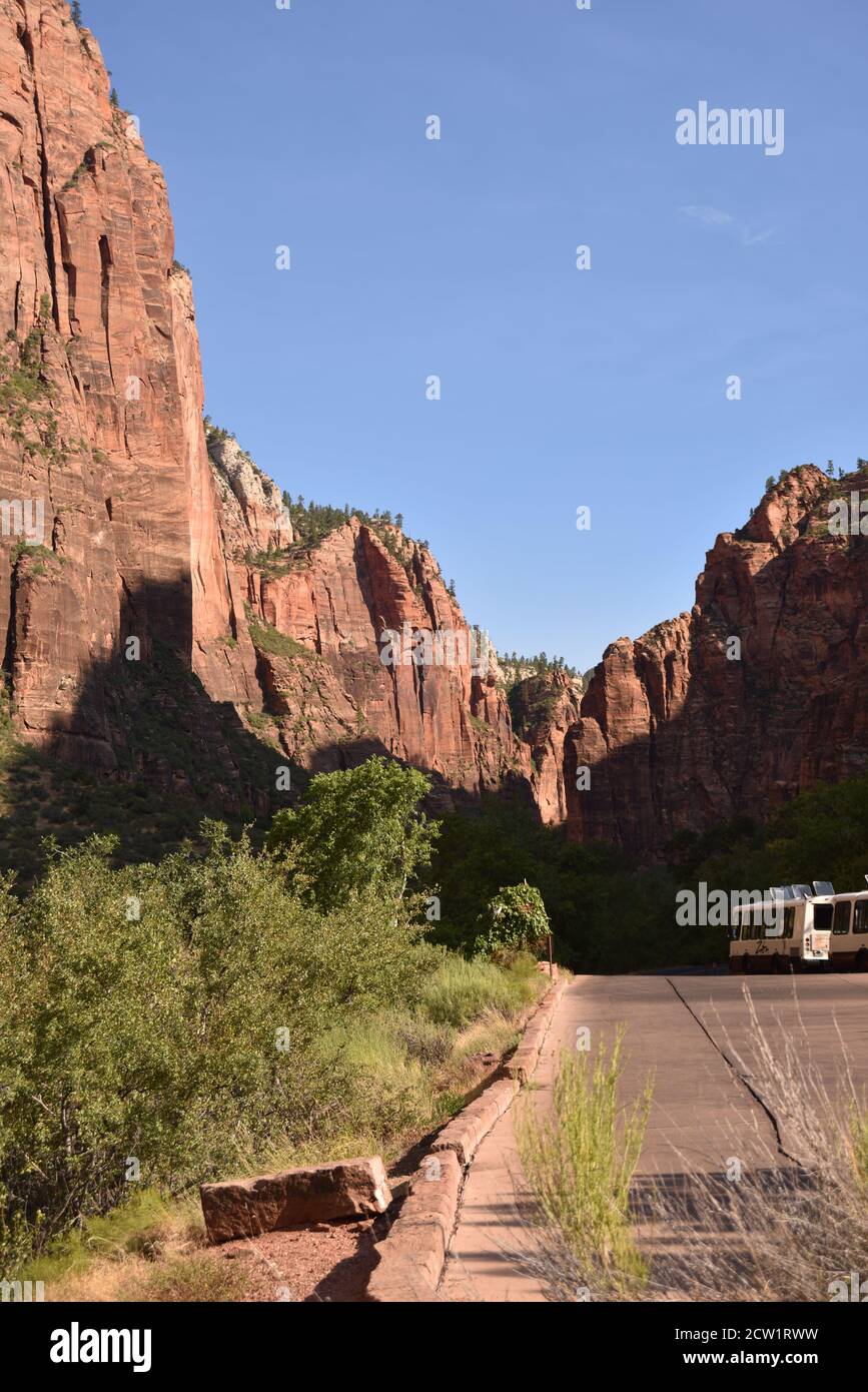 Springdale, Utah. ÉTATS-UNIS 8/12/2020. La rivière Virgin du parc national de Zion sculptée majestictic15 km de long Zion Canyon de falaises rougeâtres et de couleur ocre. Banque D'Images