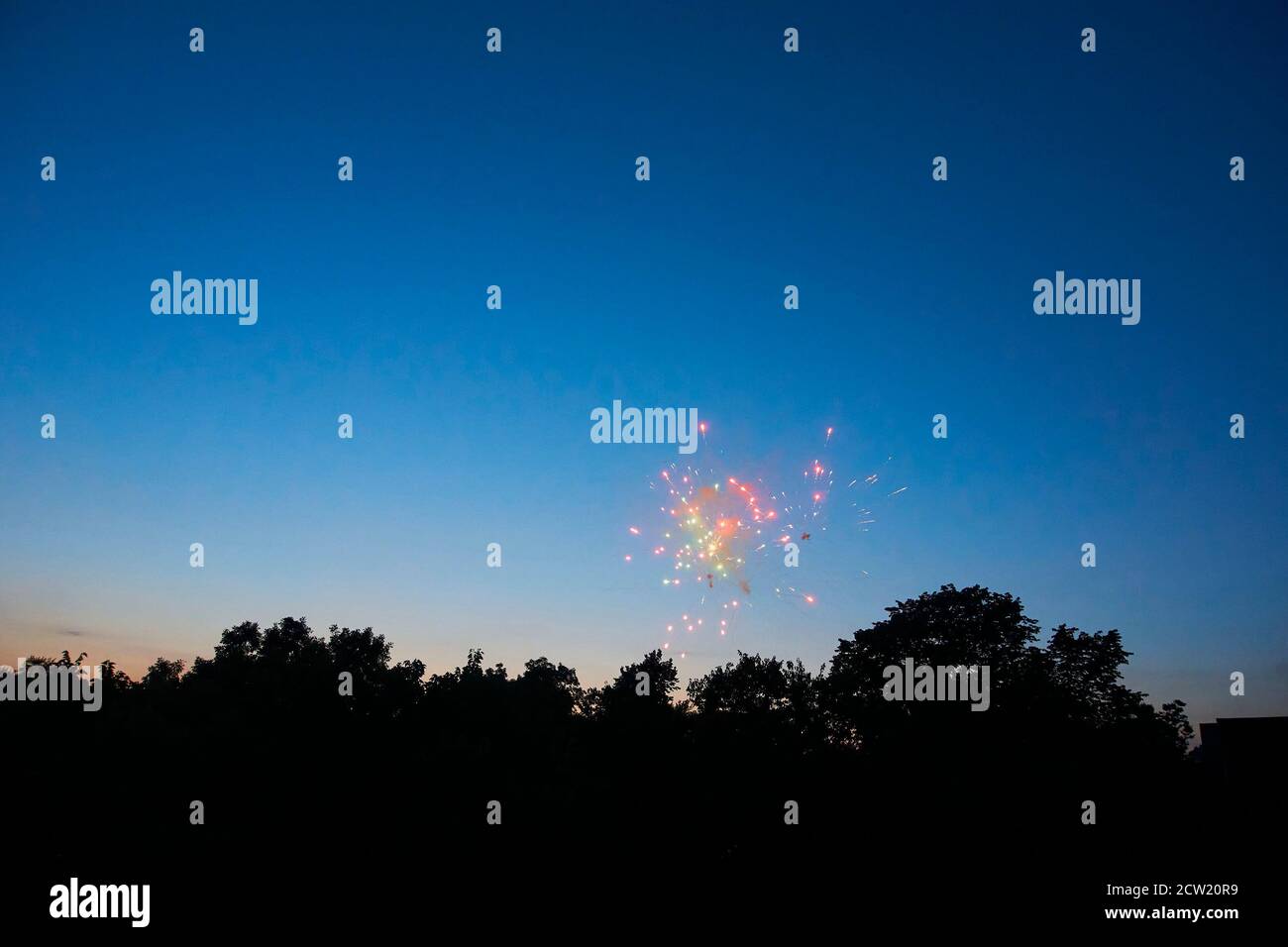 Feu d'artifice du 4 juillet au-dessus de la ligne des arbres dans le parc. Banque D'Images