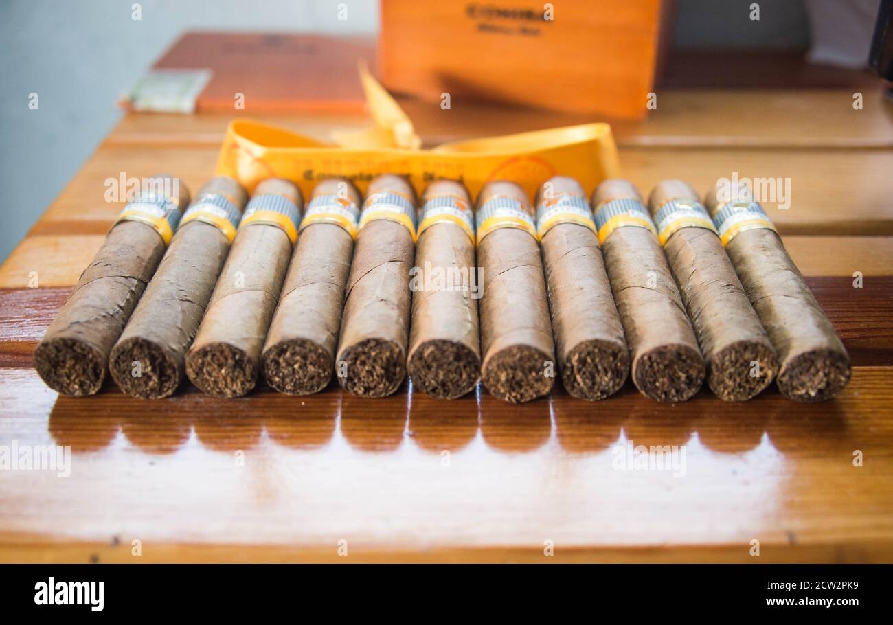 Cigares habana Banque de photographies et d’images à haute résolution