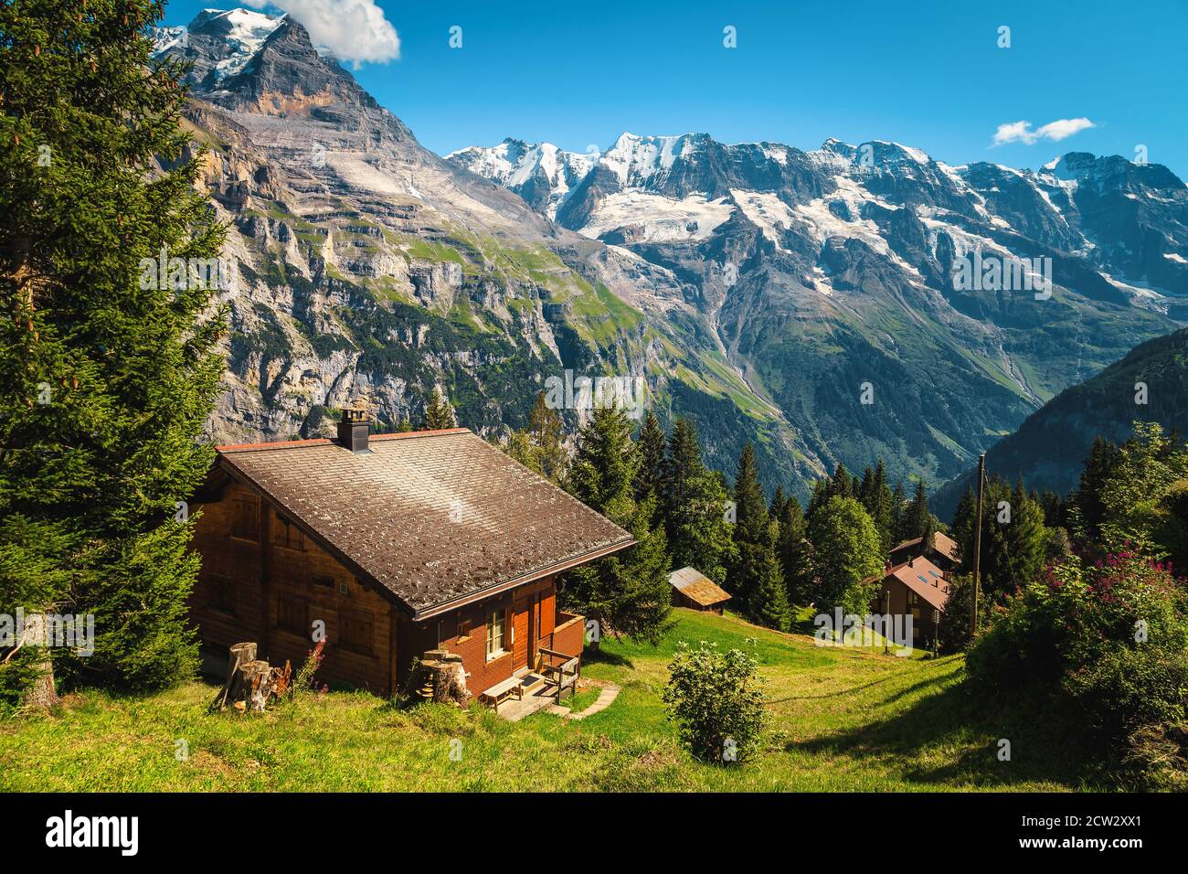 Maisons en bois sur la forêt de glades et hautes montagnes enneigées en arrière-plan, Murren, Oberland bernois, Suisse, Europe Banque D'Images