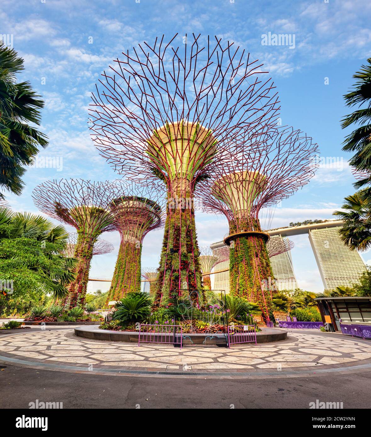 Singapour Supertrees dans le jardin près de la baie à la baie sud de Singapour Banque D'Images