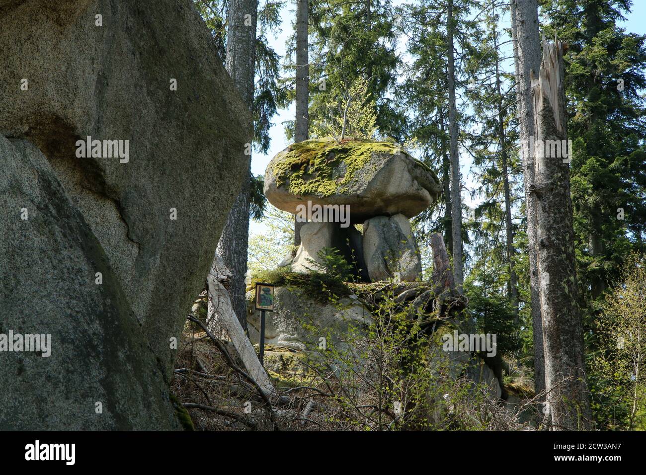 Les rochers dans les bois profonds du parc national de Šumava en République tchèque. C'est une partie du sentier de l'ours (edvědí stezka) Banque D'Images