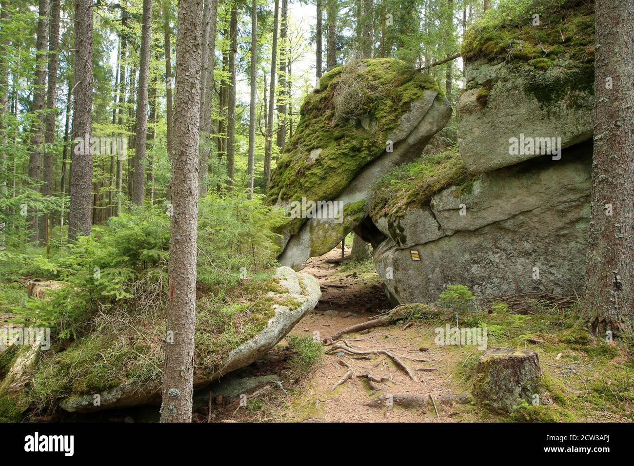 Les rochers dans les bois profonds du parc national de Šumava en République tchèque. C'est une partie du sentier de l'ours (edvědí stezka) Banque D'Images