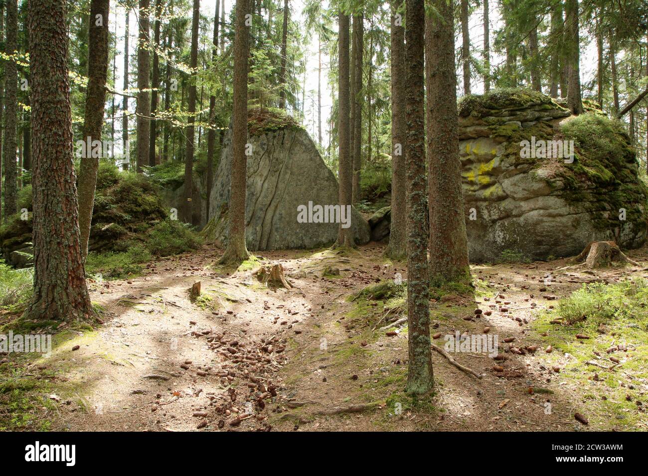 Les rochers dans les bois profonds du parc national de Šumava en République tchèque. C'est une partie du sentier de l'ours (edvědí stezka) Banque D'Images