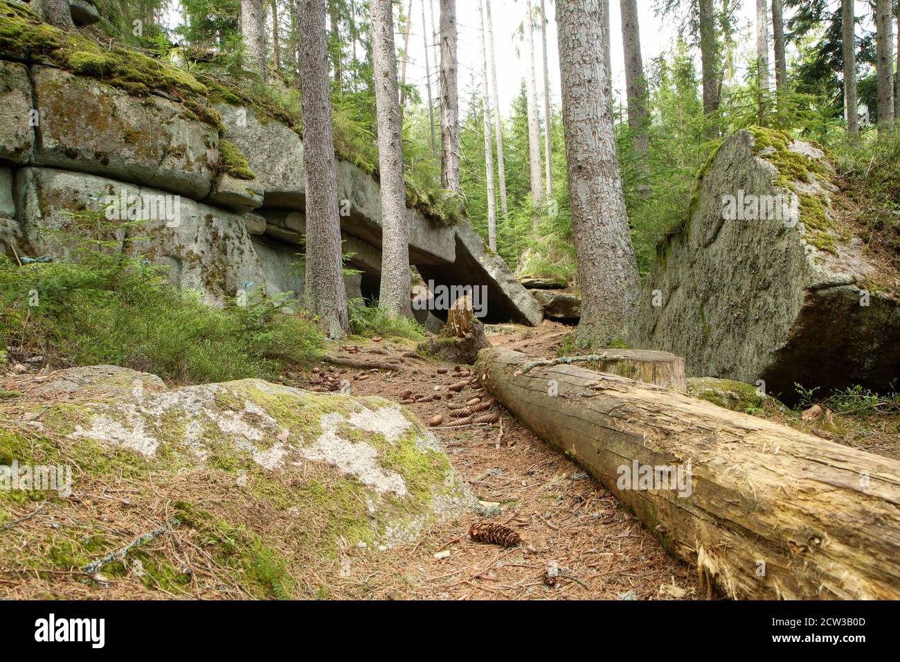 Les rochers dans les bois profonds du parc national de Šumava en République tchèque. C'est une partie du sentier de l'ours (edvědí stezka) Banque D'Images