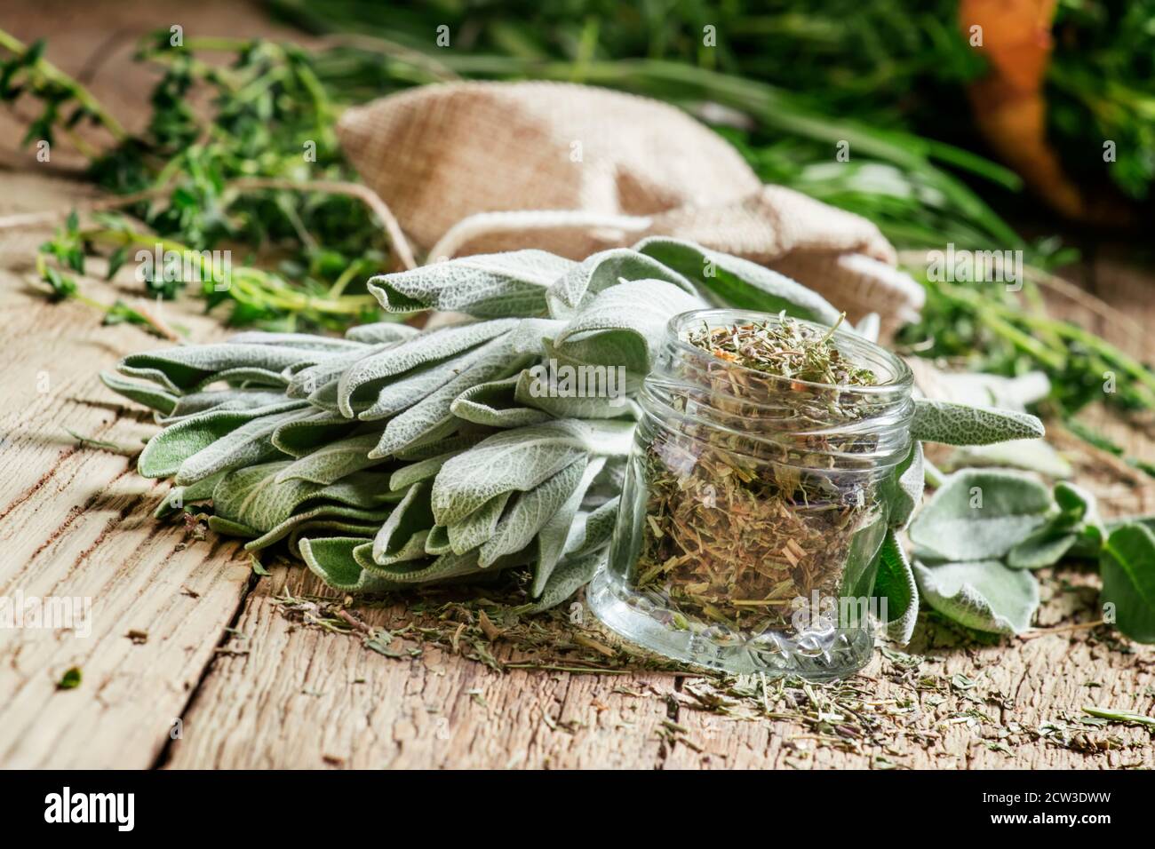 Sauge séchée dans un pot en verre, sauge fraîche sur la table en bois  d'époque, préparation de plantes médicinales séchage, foyer sélectif Photo  Stock - Alamy