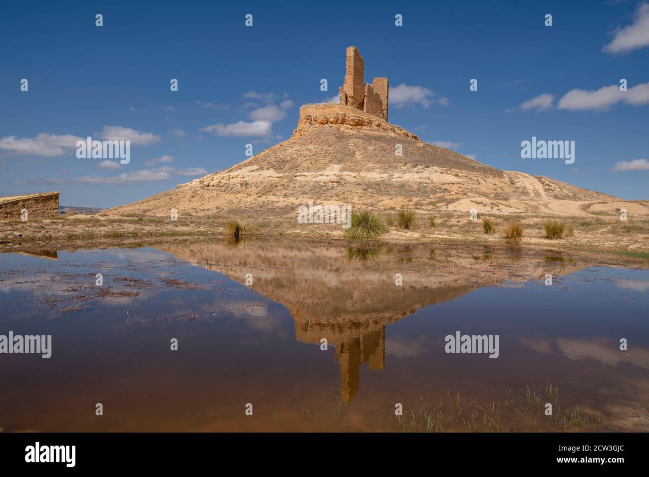 Castillo de Montuenga de Soria, Castillo de los Padilla, Montuenga de Soria, Comarca de Arcos de Jalón, Soria, comunidad autónoma de Castilla y Leó Banque D'Images