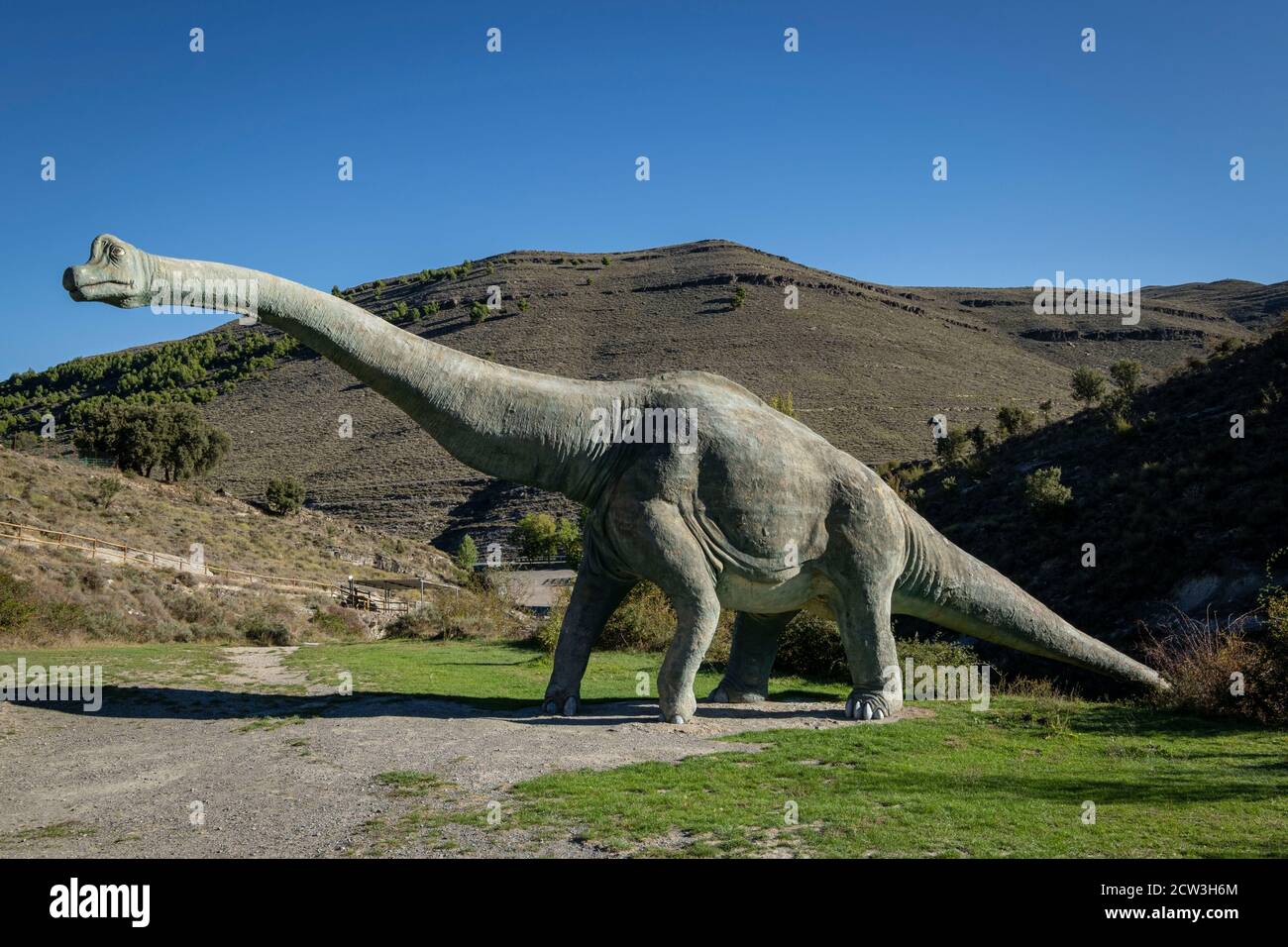 Braquiosaurio, reproduccion a tamaño naturel, Brachiosaurus altithorax, yacimiento de Valdecevillo, Enciso, la Rioja , Espagne, Europe Banque D'Images