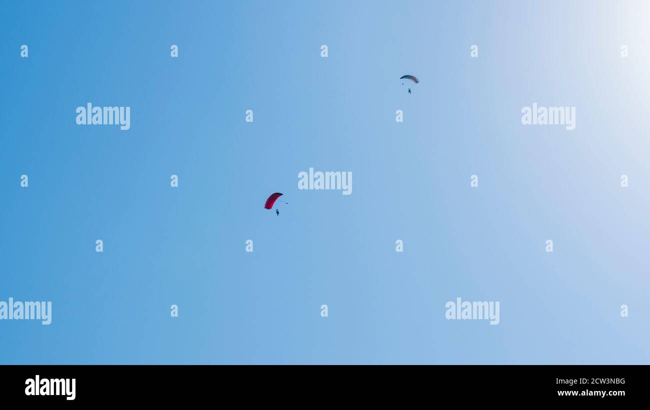 Saut en parachute en tandem. Silhouette de parachutiste volant dans un ciel bleu clair. Concepts de sport extrême et d'adrénaline. Banque D'Images