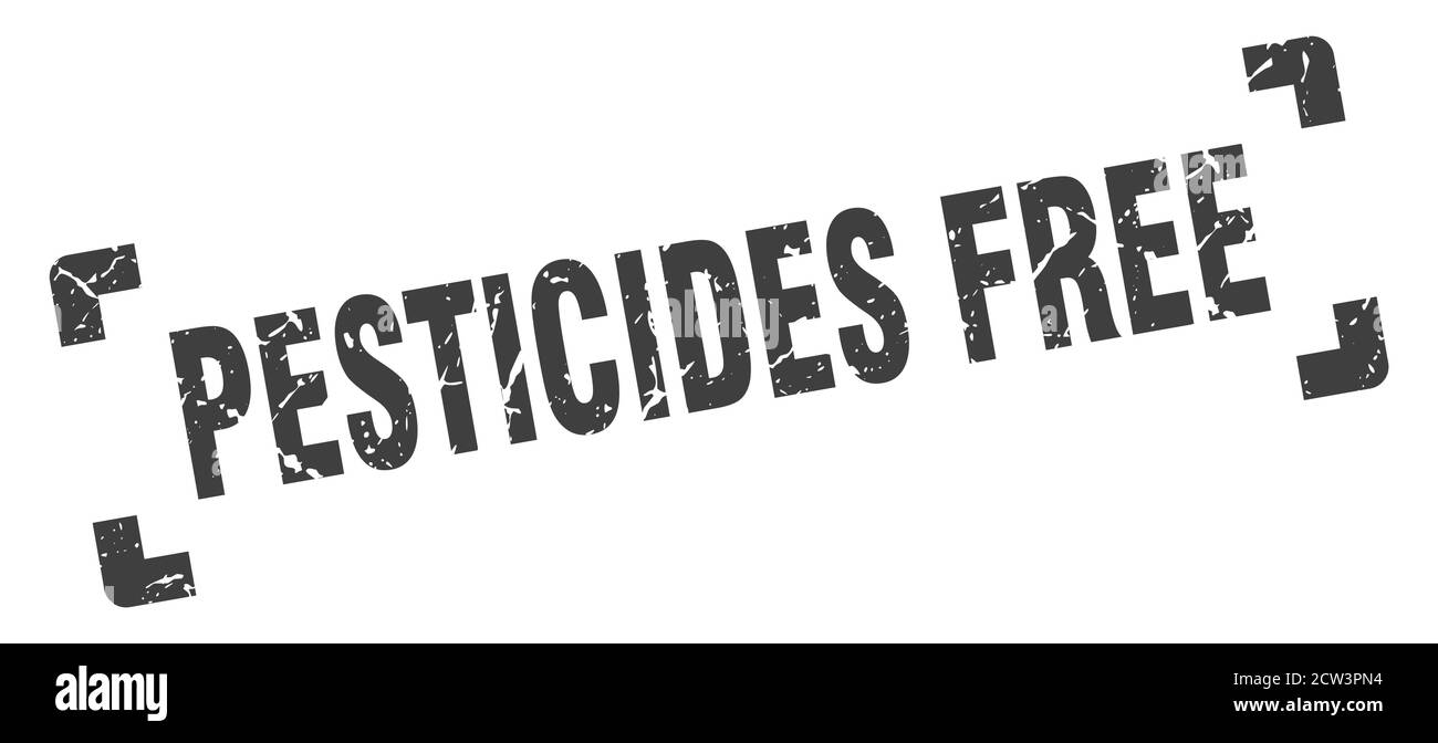 timbre sans pesticides. signe de grunge carré sur fond blanc Illustration de Vecteur