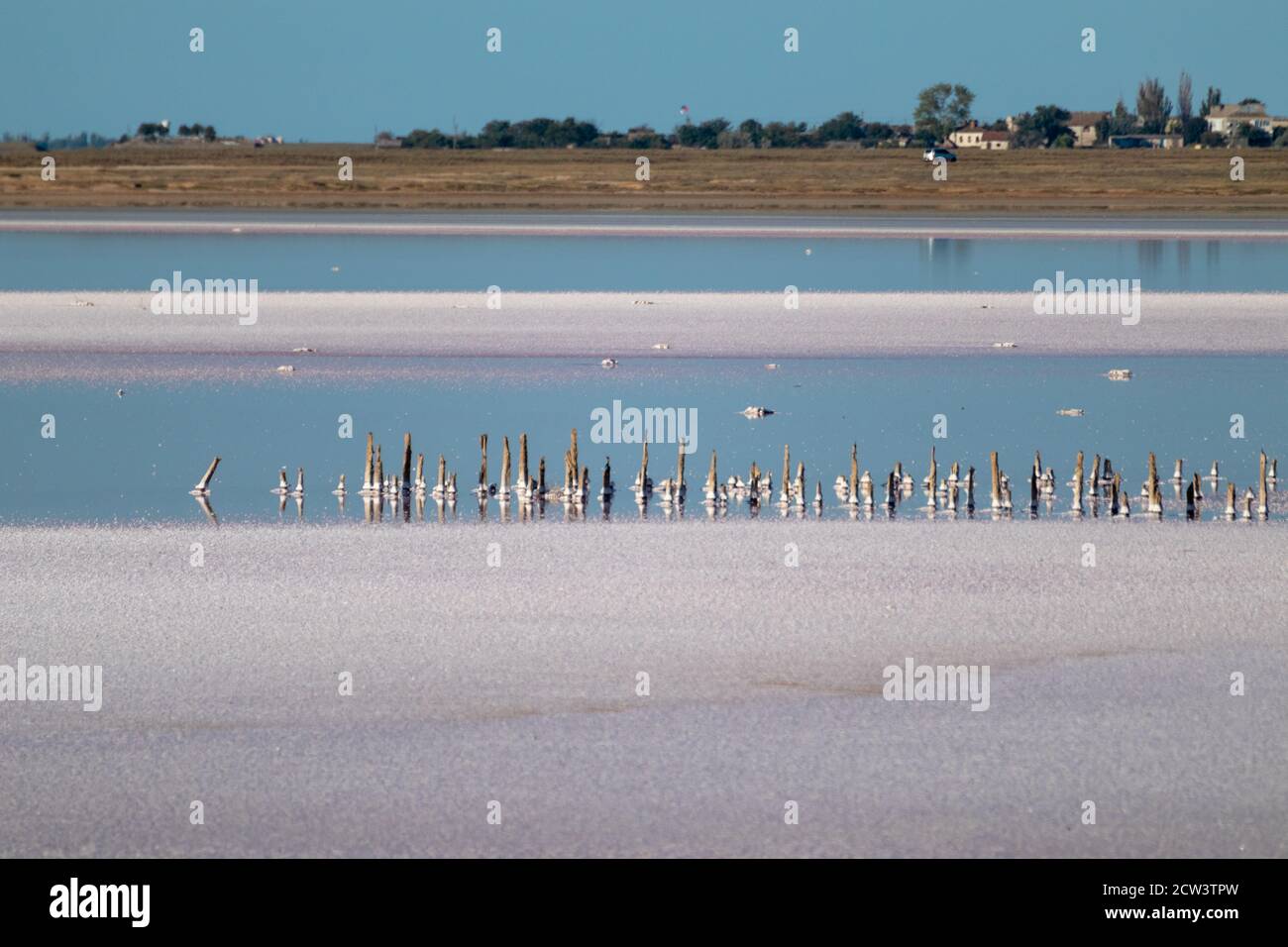 Surface de lac rose salé avec eau bleue et ciel ensoleillé avec reflet. Spa soins de santé procédures naturelles en Ukraine, Henichesk Banque D'Images Surface de lac rose salé avec eau bleue et ciel ensoleillé avec reflet. Spa soins de santé procédures naturelles en Ukraine, Henichesk Banque D'Images