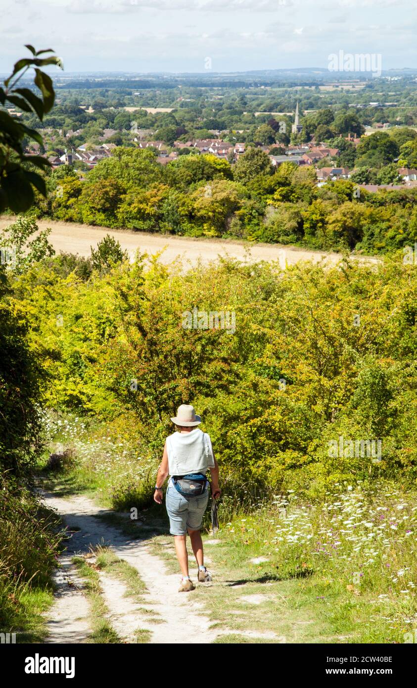 Femme marchant sur le sentier de randonnée longue distance de Ridgeway dans Les collines Chiltern Buckinghamshire Angleterre Banque D'Images