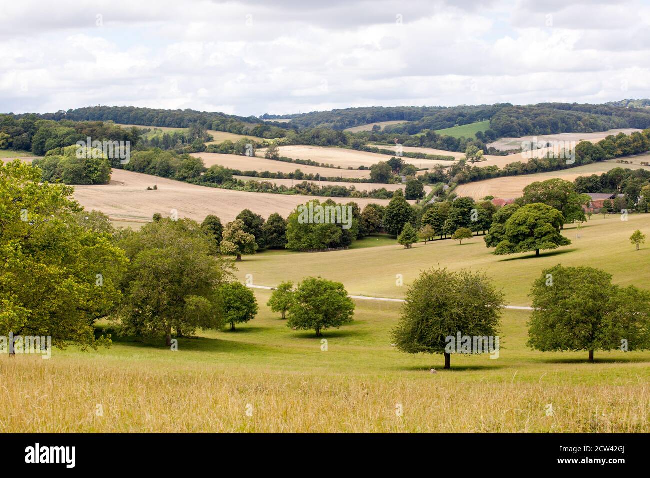 Match de cricket dans un village rural dans la campagne anglaise à Stonor Club de cricket Oxfordshire Angleterre Royaume-Uni Banque D'Images