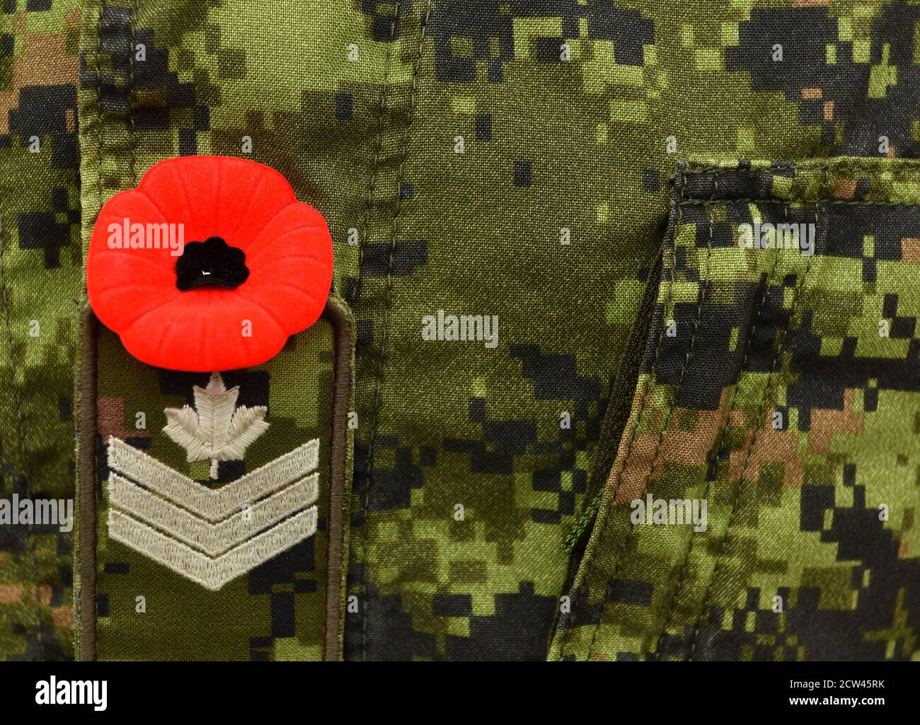Coquelicot rouge sur l'uniforme militaire canadien. Soldats canadiens. Armée du Canada. Jour du souvenir. Jour du pavot. Banque D'Images