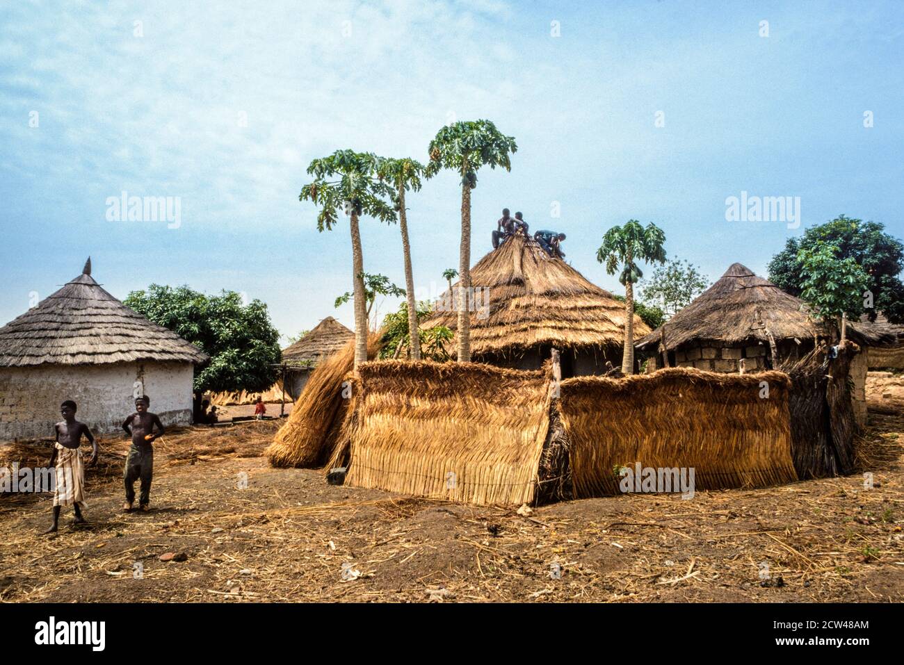 Village avec des hommes réparant le toit de chaume de l'Afrique traditionnelle Rrondavel maison Guinée Afrique de l'Ouest Banque D'Images