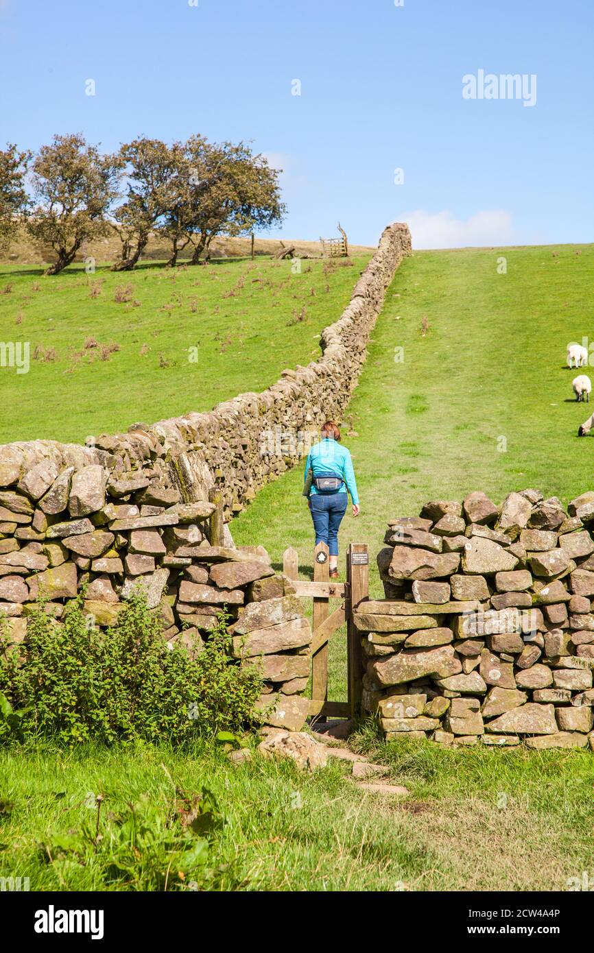 Femme marchant seule dans la campagne du parc national de Peak District À côté d'un mur de pierre sèche Angleterre Royaume-Uni Banque D'Images