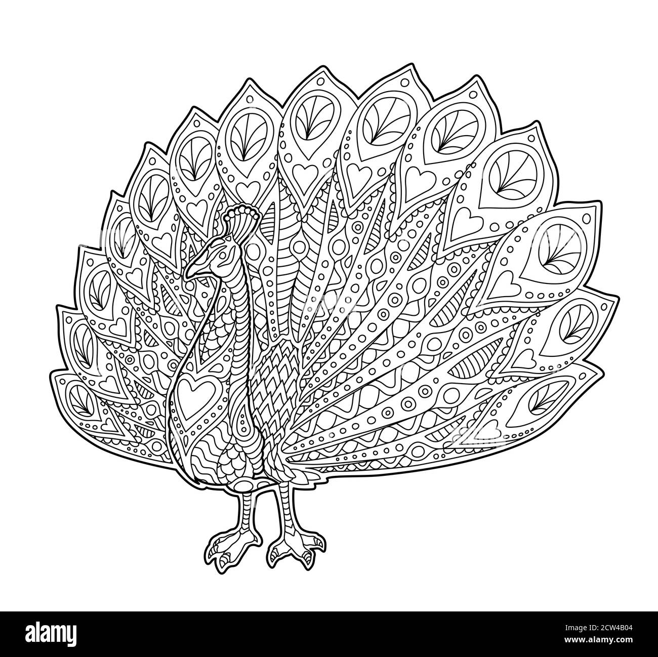 Cartoon funny peacock isolated on Banque de photographies et d'images à haute résolution - Alamy Cartoon funny peacock isolated on Banque de photographies et d'images à haute résolution - Alamy