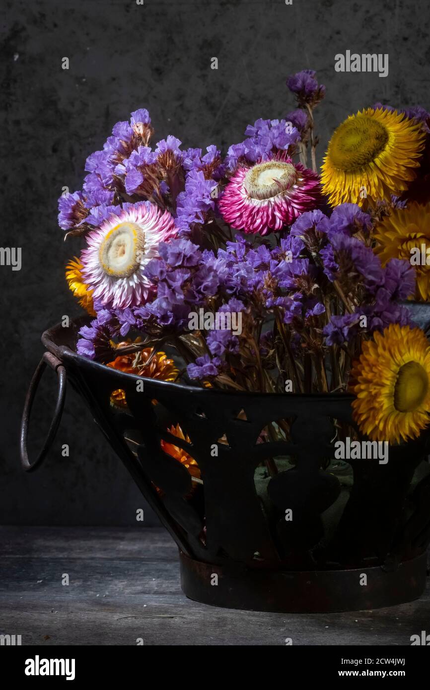 Photo de la vie des fleurs séchées vives dans Nice Spot Léger Banque D'Images