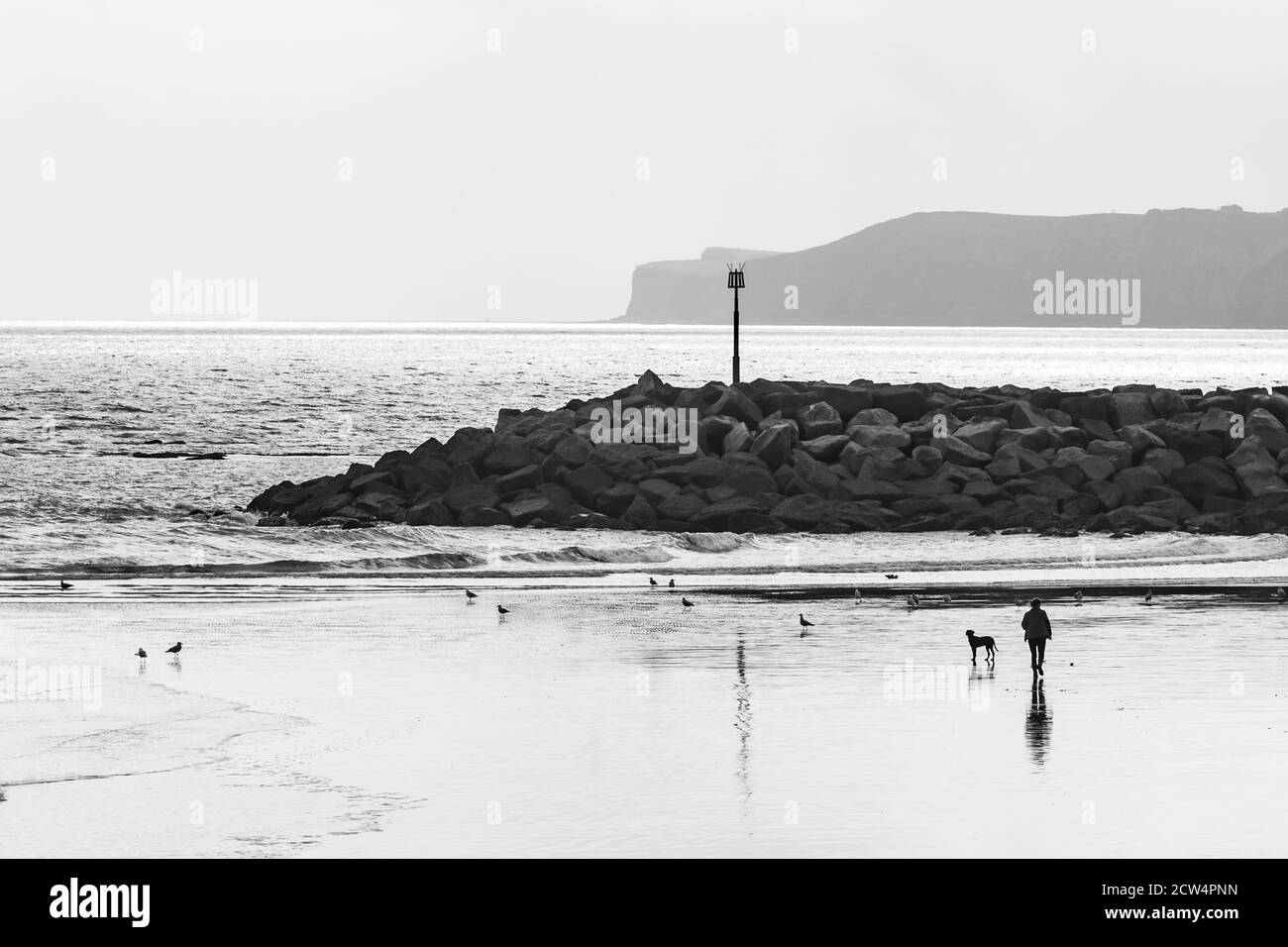 Image en noir et blanc High Key d'un secoueur et Leur chien sur la plage à Sidmouth avec vue du brise-lames Banque D'Images
