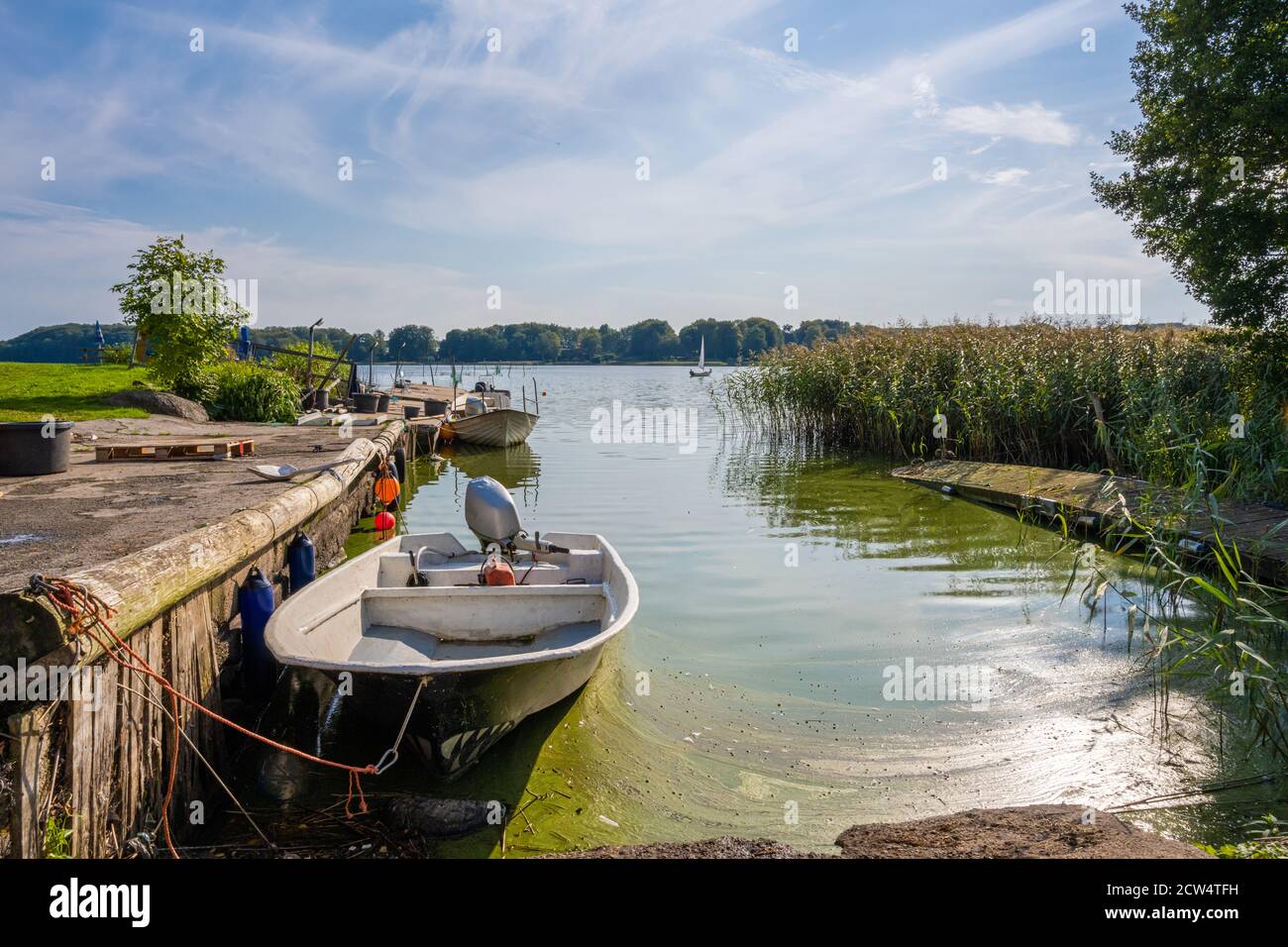Un petit bateau de pêche dans un lac. Photo de Ringsjon, comté de Scania, Suède Banque D'Images