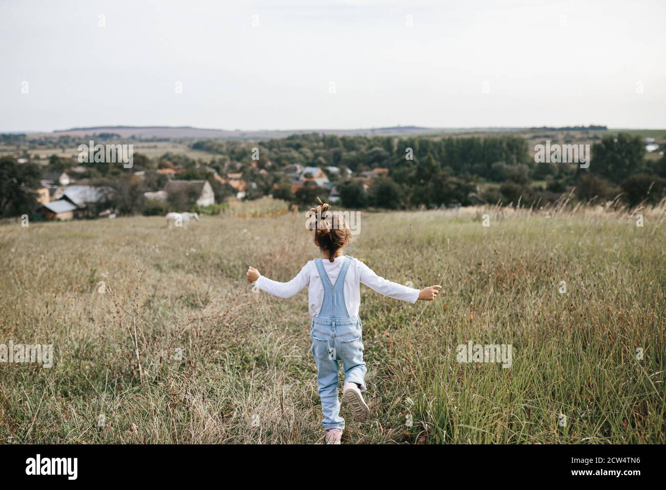 une petite fille traverse un pré dans les montagnes. vue sur l'arrière. Concept d'agritourisme Banque D'Images