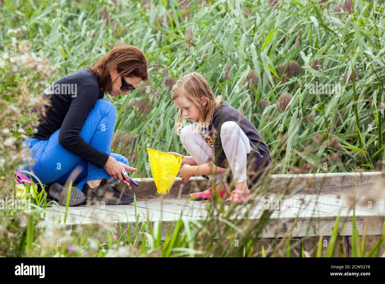 Femme et enfant bassin trempant avec filet de pêche jaune à Parc naturel de Wincken Fen Cambridgeshire Banque D'Images