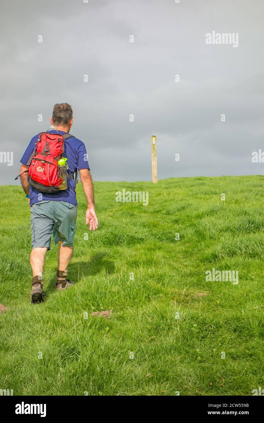 Homme Backpacker marchant sur le sentier de grès sentier longue distance à travers la campagne de Cheshire vers un marqueur de chemin sur la ferme de mousse de Bickley Cheshire, Banque D'Images