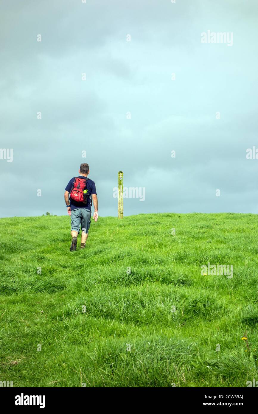 Homme Backpacker marchant sur le sentier de grès sentier longue distance à travers la campagne de Cheshire vers un marqueur de chemin sur la ferme de mousse de Bickley Cheshire, Banque D'Images