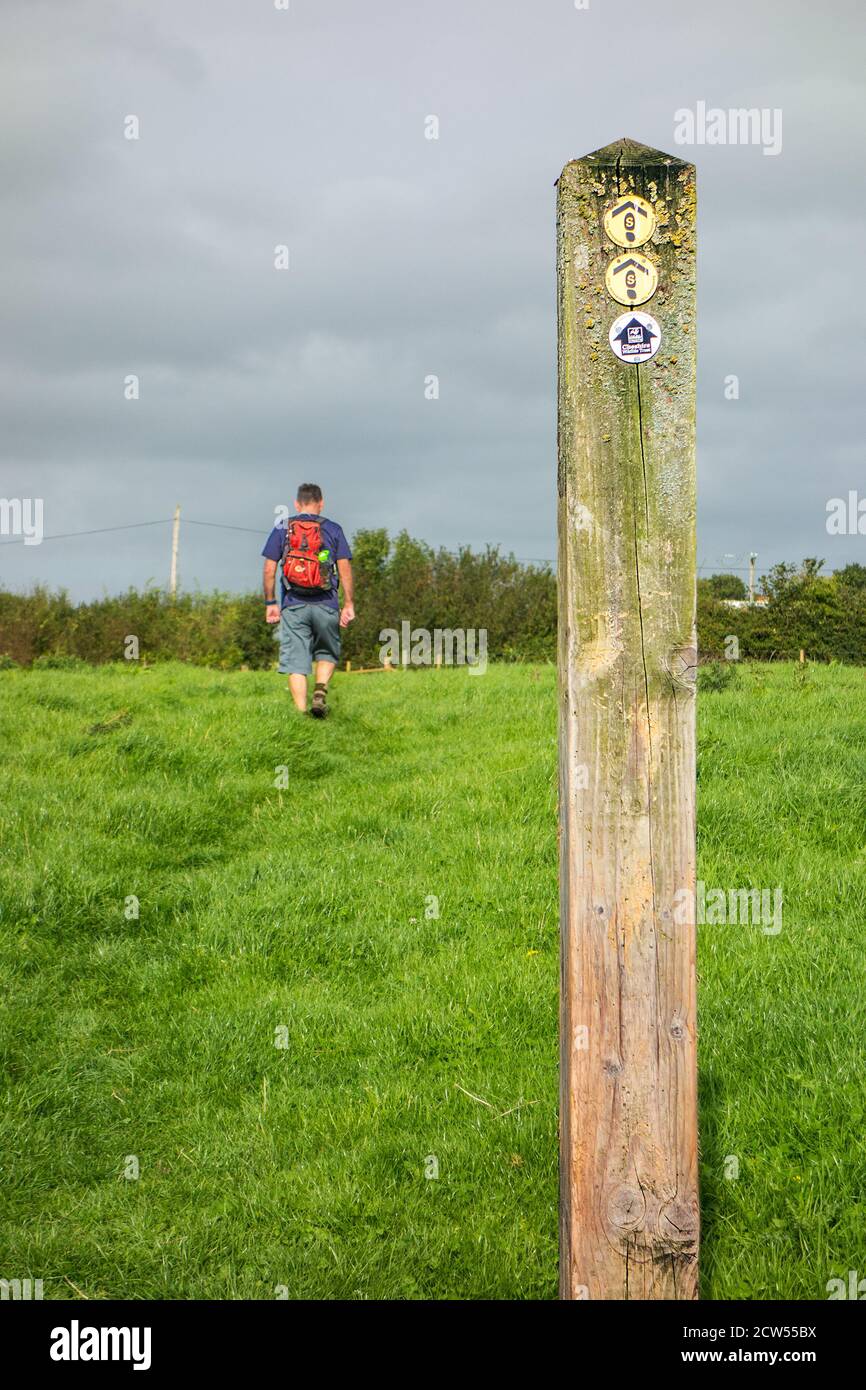 Homme Backpacker marchant sur le sentier de grès sentier longue distance à travers la campagne de Cheshire vers un marqueur de chemin sur la ferme de mousse de Bickley Cheshire, Banque D'Images