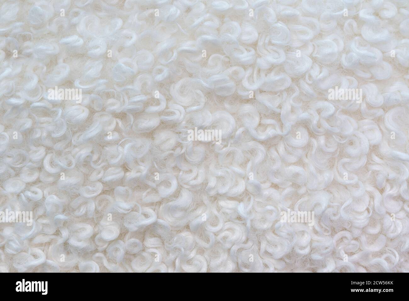 La texture de la laine ondulée blanche artificielle. Arrière-plan blanc abstrait. Banque D'Images