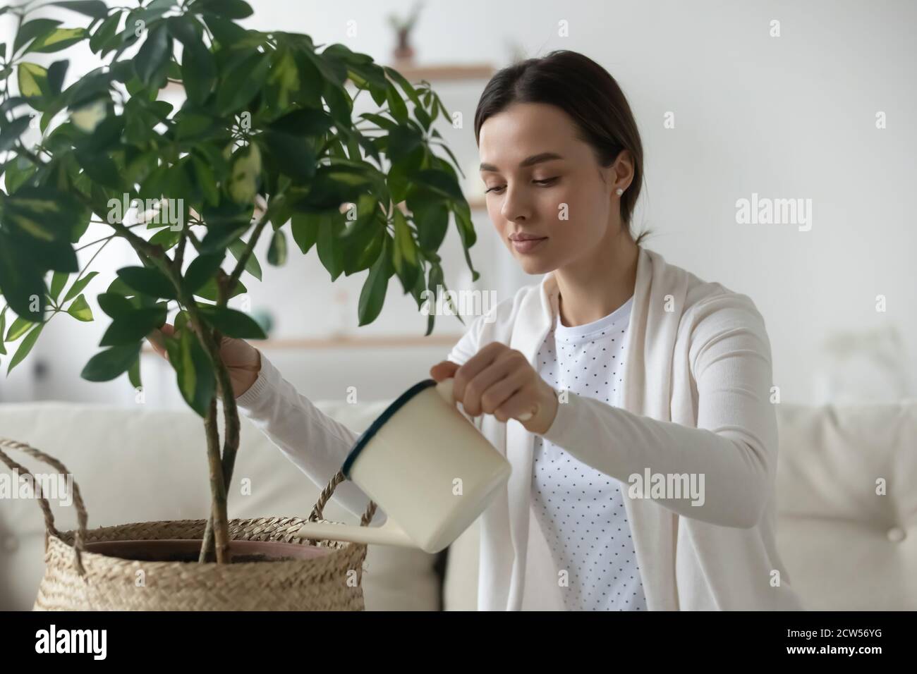 Jeune femme tient pot arrosage plante verte maison Banque D'Images