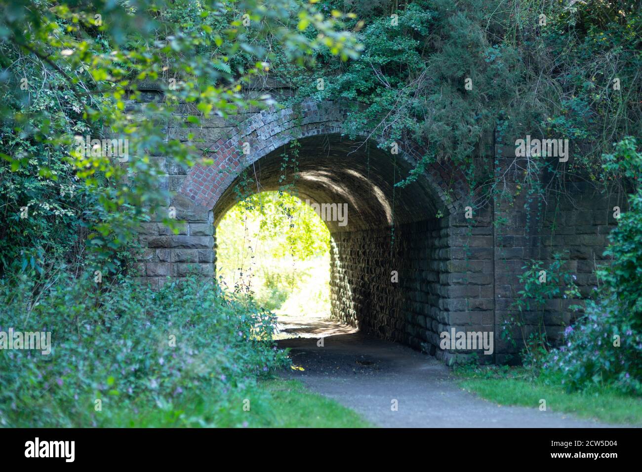 Lumière au bout du tunnel - site de la longue depuis fermé Molyneux Brow gare, Clifton, Angleterre Royaume-Uni Banque D'Images Lumière au bout du tunnel - site de la longue depuis fermé Molyneux Brow gare, Clifton, Angleterre Royaume-Uni Banque D'Images