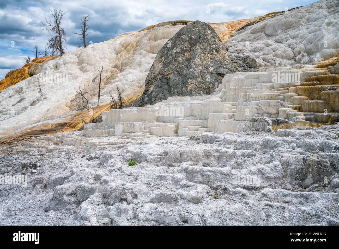 Mammoth Hot Springs dans le parc national de yellowstone, wyoming, états-unis Banque D'Images