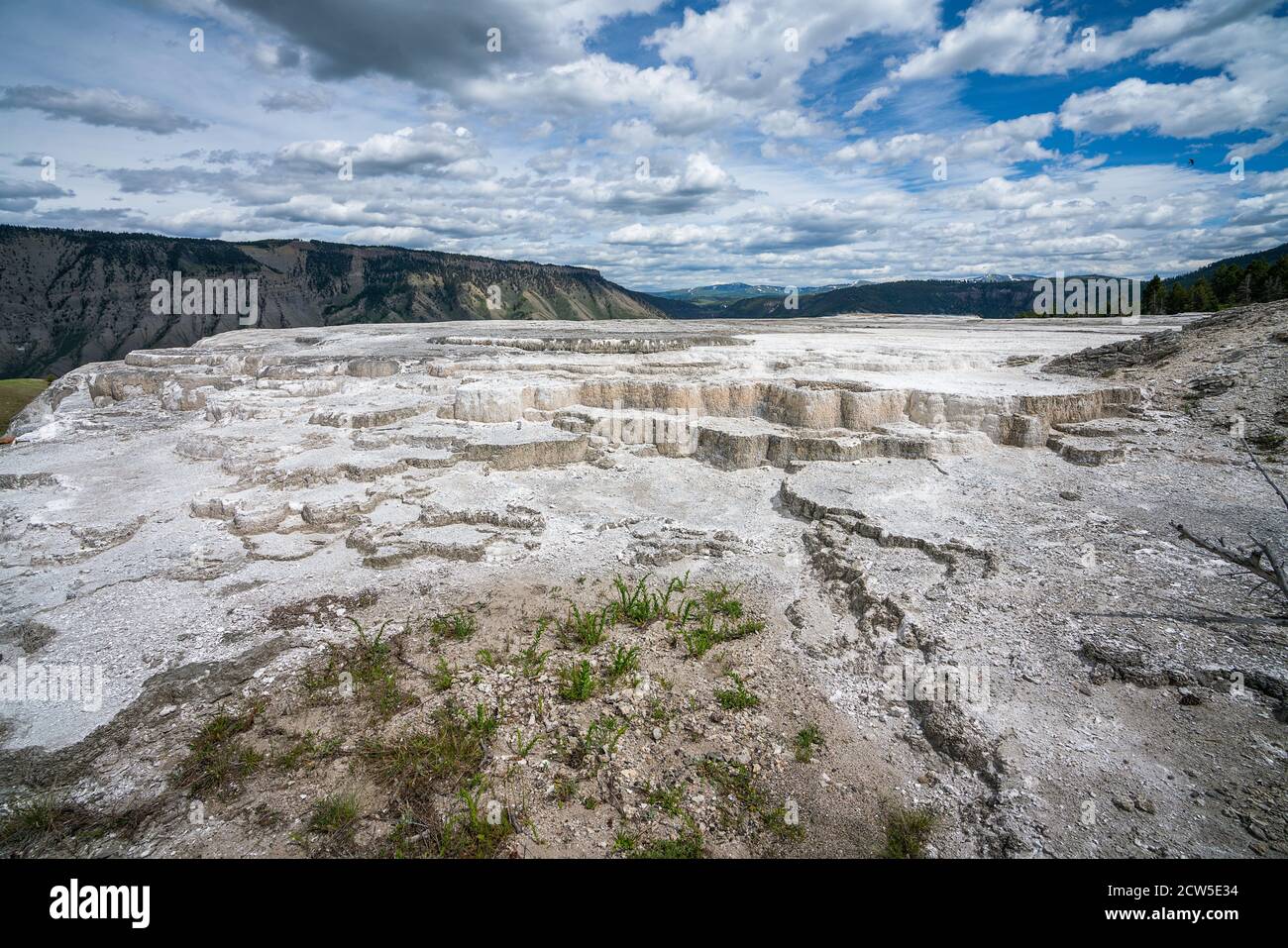 Mammoth Hot Springs dans le parc national de yellowstone, wyoming, états-unis Banque D'Images