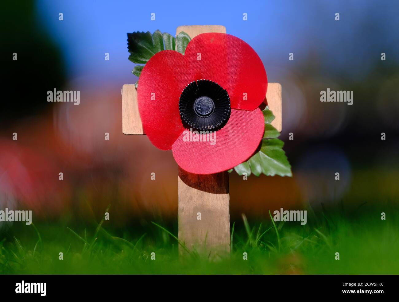 Symbole d'appel du coquelicot. Fleur rouge de chiot placée sur la petite croix en bois dans l'herbe verte. Faible profondeur de champ. Banque D'Images