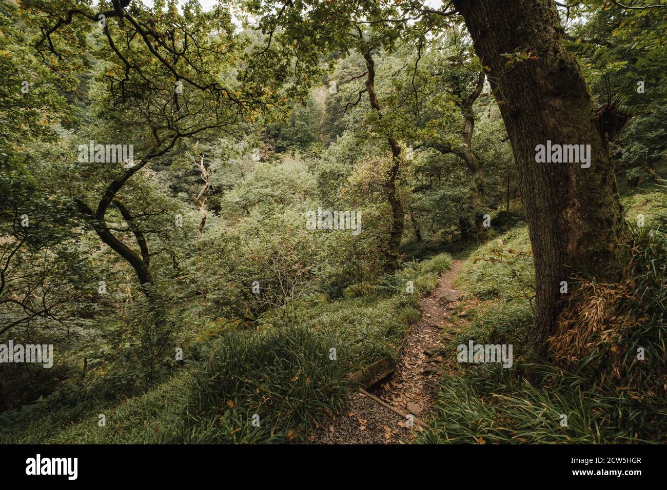 Dollar Glen Ecosse Banque D'Images