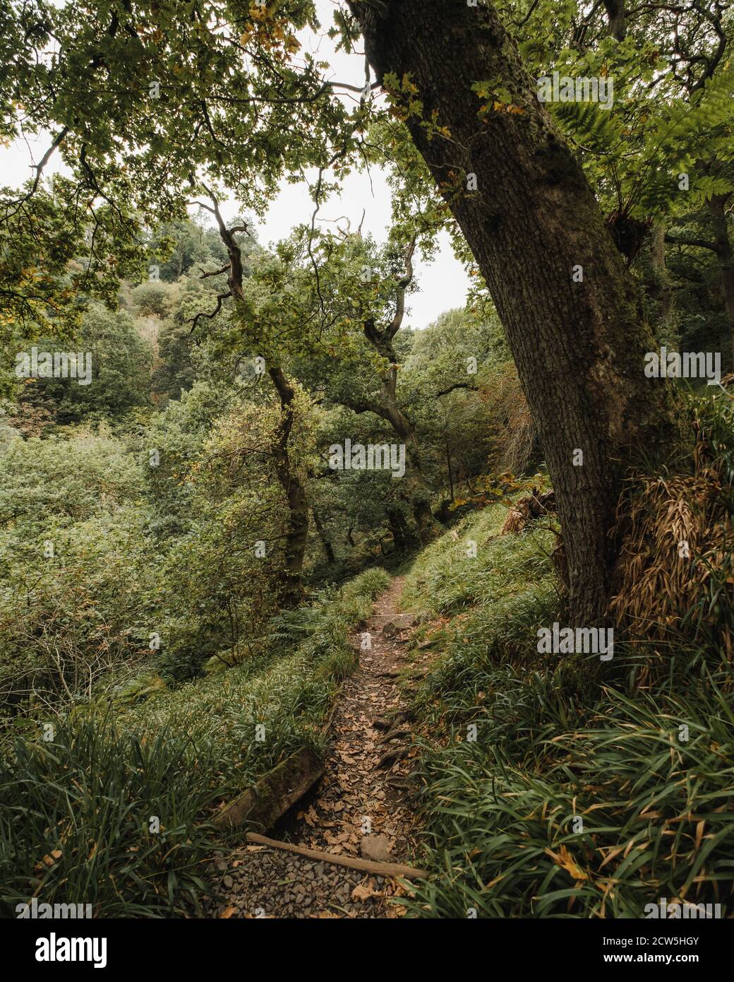 Dollar Glen Ecosse Banque D'Images