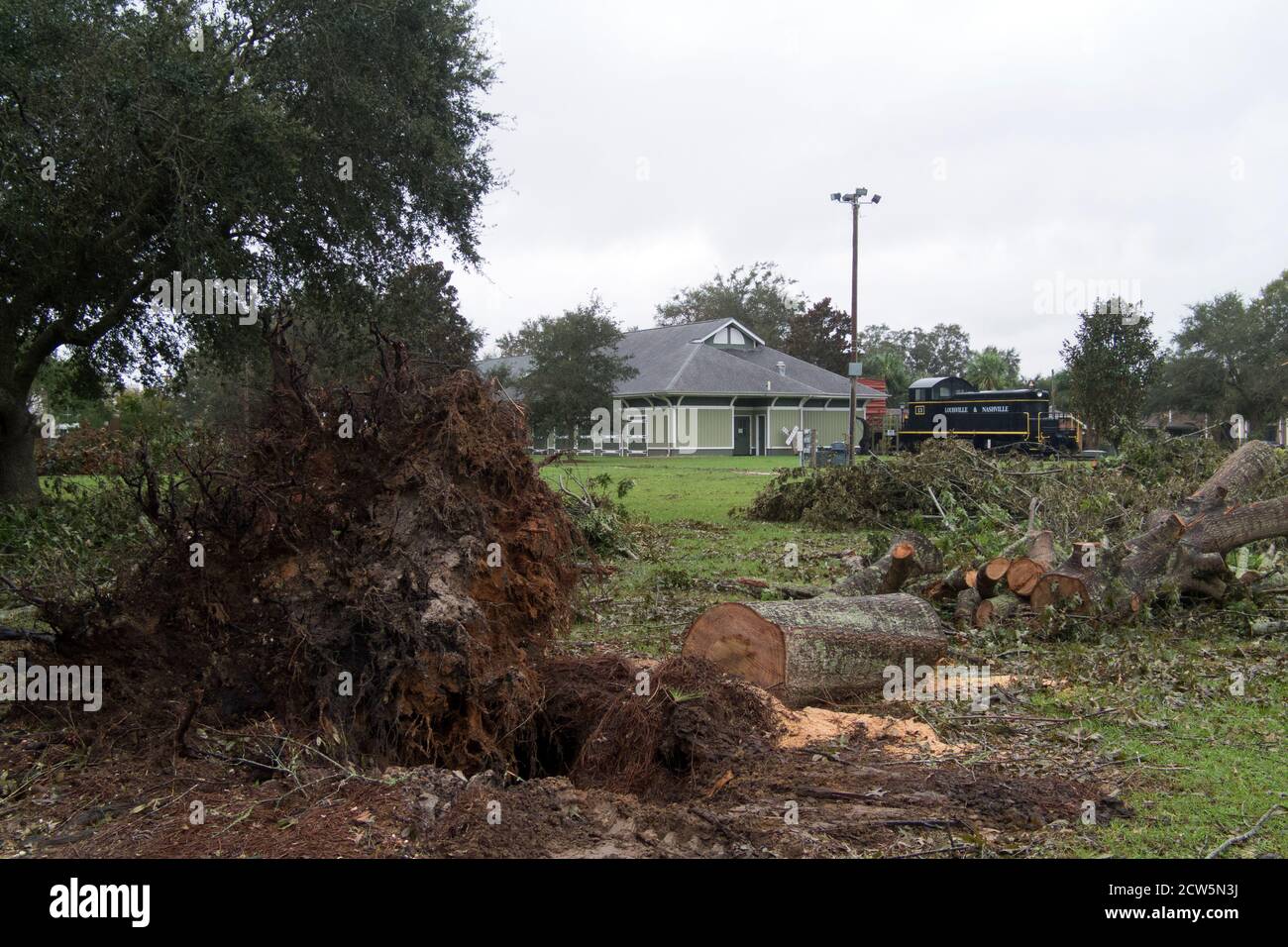 Arbres déracinés par l'ouragan Sally au parc Centennial dans le centre-ville de Foley, Alabama. Banque D'Images