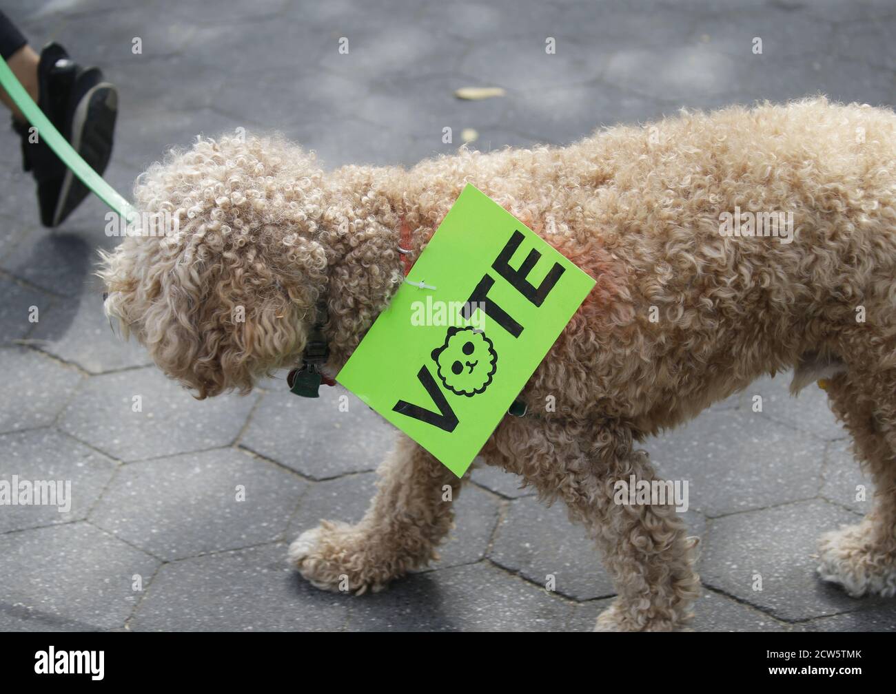 New York, États-Unis. 27 septembre 2020. Un chien porte un signe qui dit VOTER à un rassemblement de glace d'abolir à Washington Square Park à New York le dimanche 27 septembre 2020. Photo de John Angelillo/UPI crédit: UPI/Alay Live News Banque D'Images
