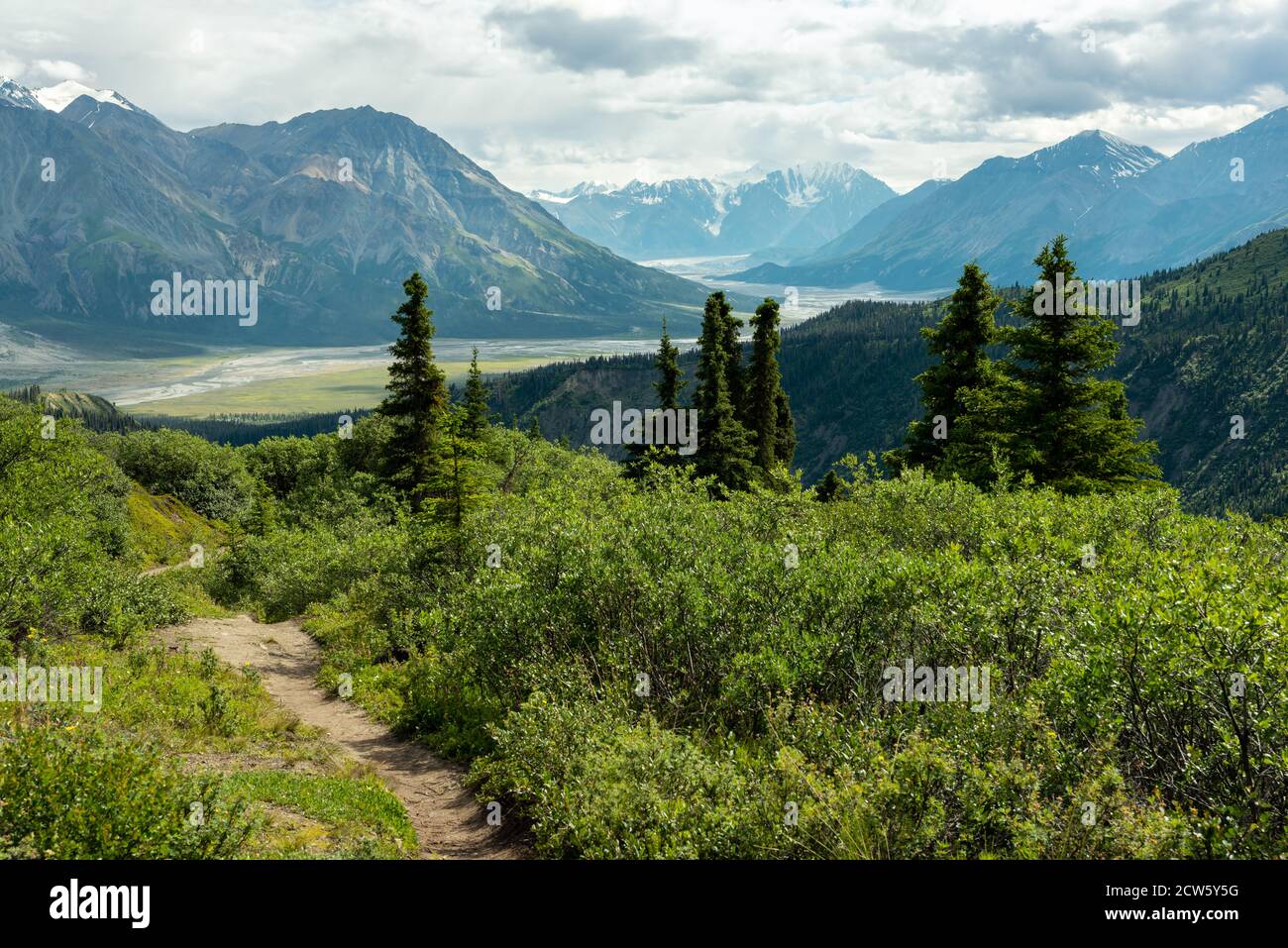 Vue sur le sentier du ruisseau Sheep de la rivière Slims qui coule du glacier Kaskawulsh dans le parc national Kluane, Yukon, Canada Banque D'Images