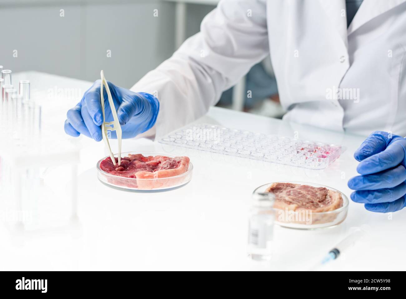 Mains gantées de chercheur en whitecavoine prenant un échantillon minuscule de viande crue Banque D'Images