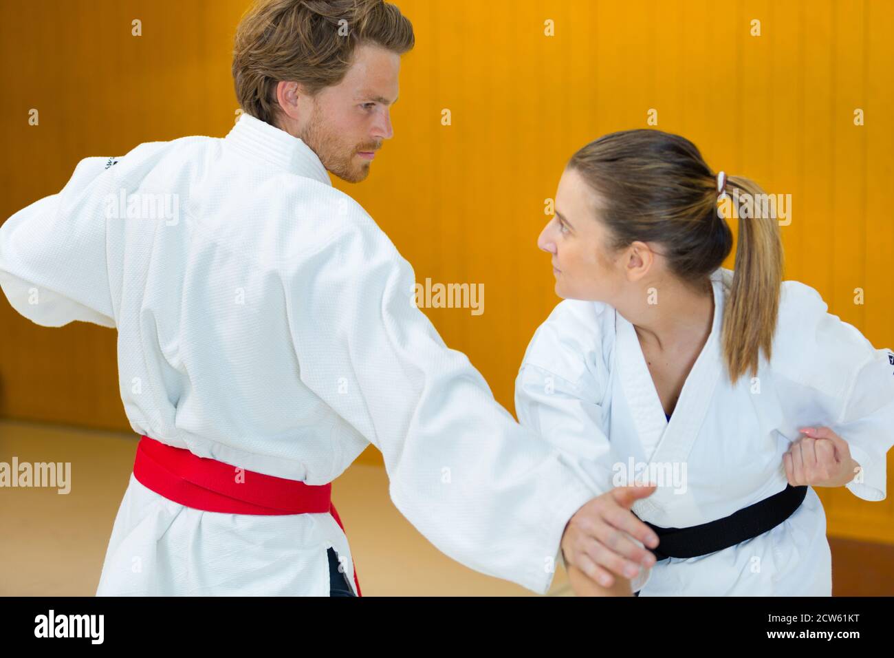 portrait de deux combattants de judokas Banque D'Images