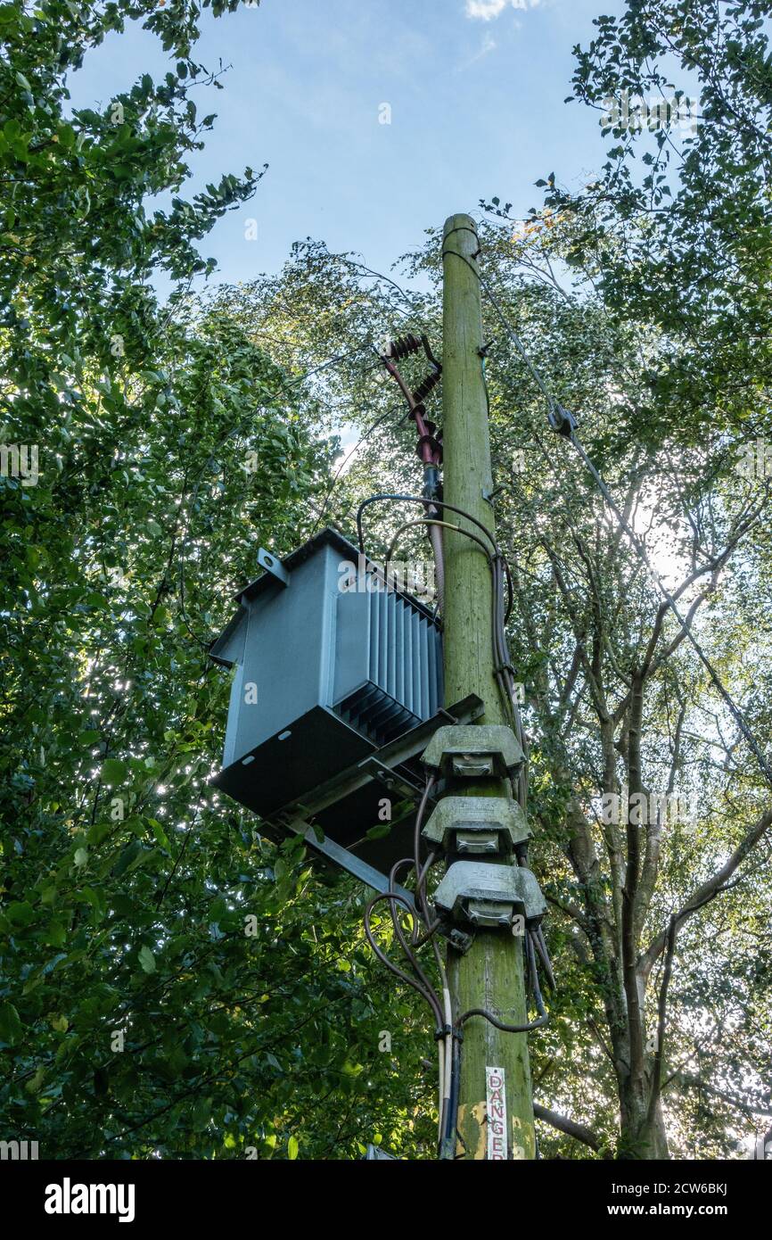 Transformateur de distribution rural monté sur poteau dans les bois Banque D'Images