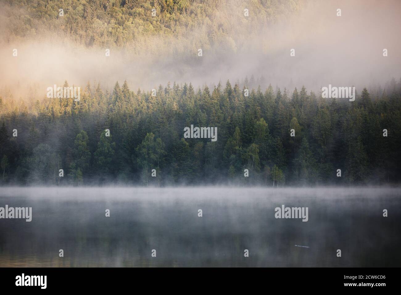 Paysage pittoresque. Lac brumeux avec ciel coloré. Forêt sauvage. Beauté dans le monde. Paysage de la nature incroyable. Santa Ana, Roumanie, Transylvanie. Banque D'Images