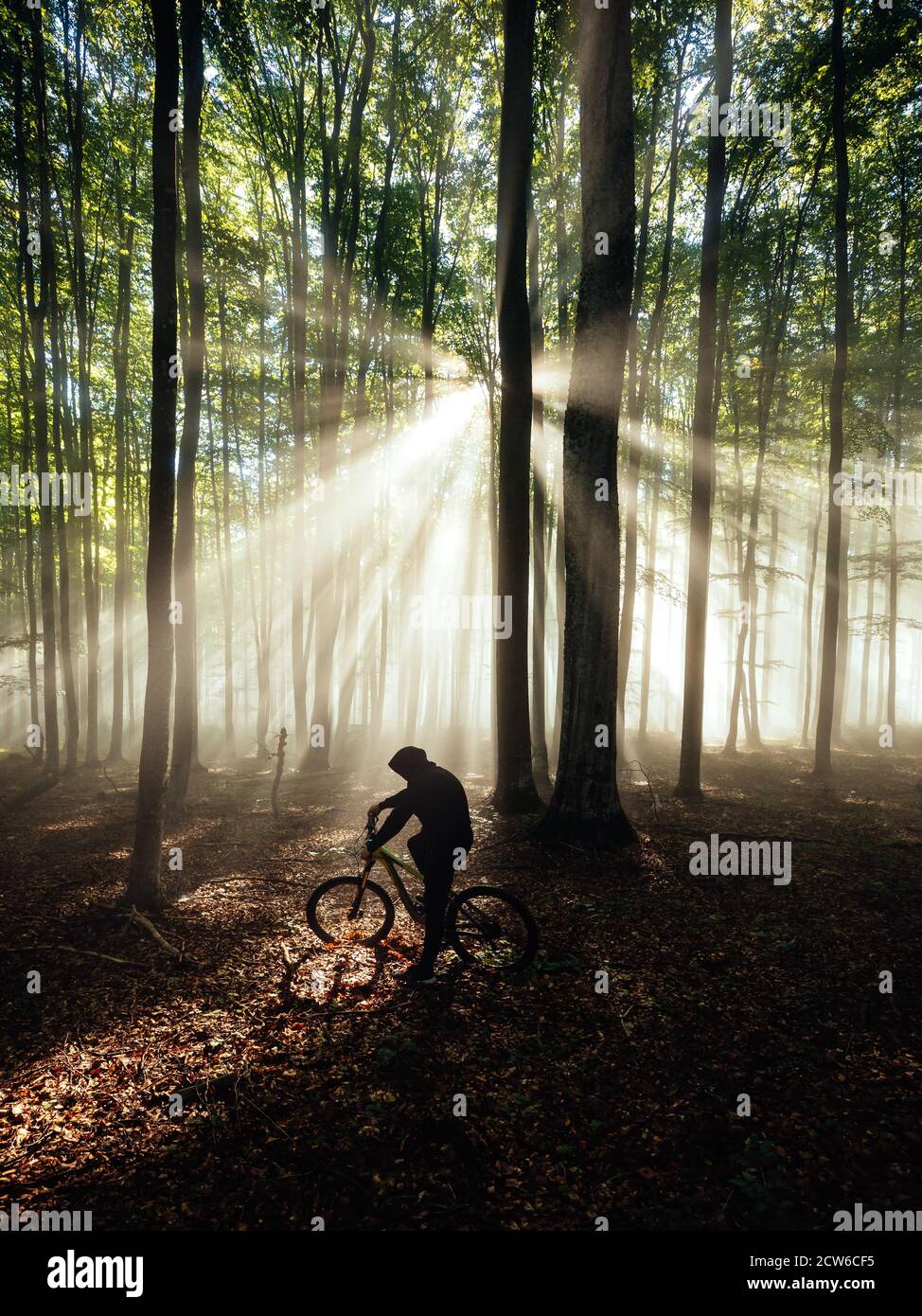 Les cyclistes de vélo de montagne s'entraîner dans la forêt sauvage de foggy. Rayons du soleil dans la nature de la forêt. Poutres de soleil pittoresques dans les bois Banque D'Images