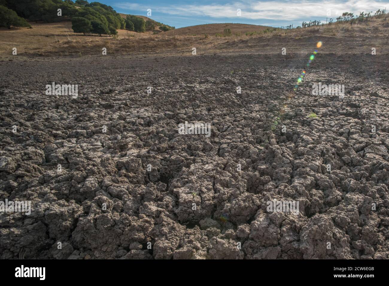 Un étang de bétail séché dans les collines de la baie est dans le nord de la Californie, les pluies sont devenues moins régulières et l'eau a séché en laissant seulement la boue durcie. Banque D'Images