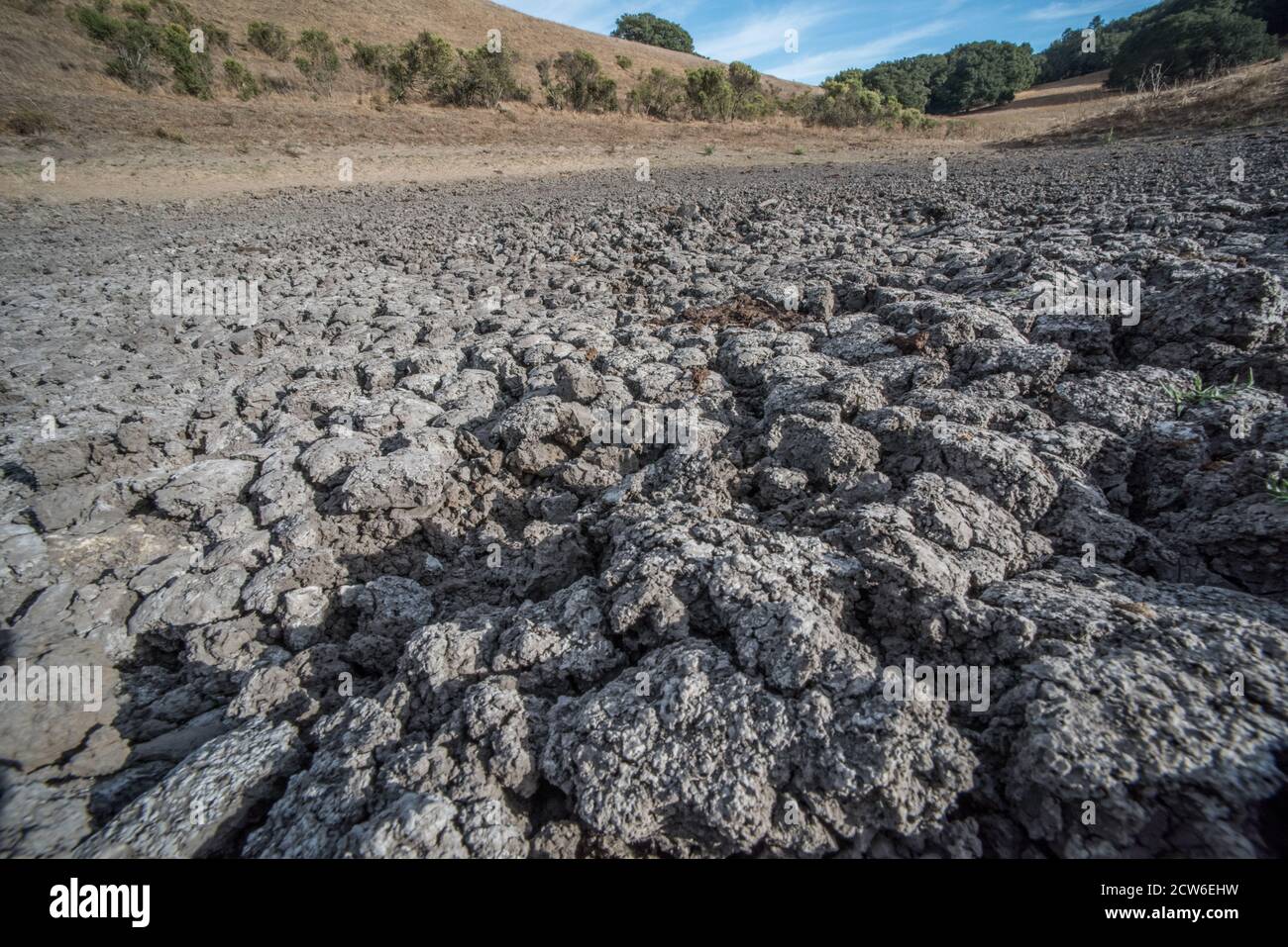 Un étang de bétail séché dans les collines de la baie est dans le nord de la Californie, les pluies sont devenues moins régulières et l'eau a séché en laissant seulement la boue durcie. Banque D'Images