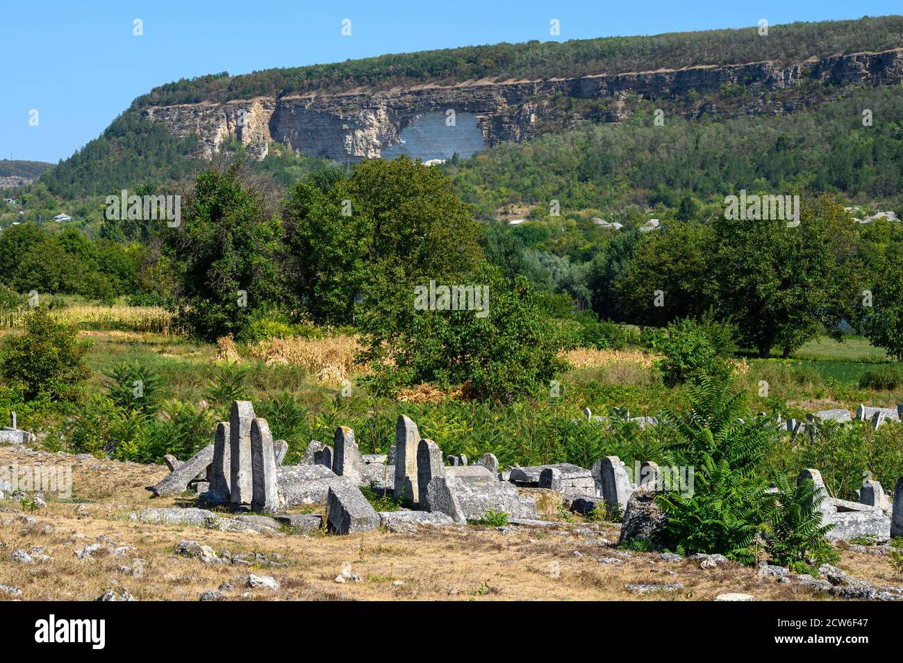 Groupe de vieilles pierres tombales à l'ancien cimetière juif à Vadul liu Rascov en Moldavie Banque D'Images