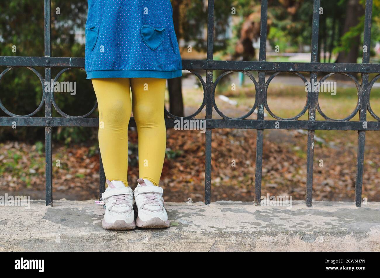 Enfants adorables dans le parc d'automne. Pieds de l'enfant. Collants jaunes et robe bleue. Banque D'Images