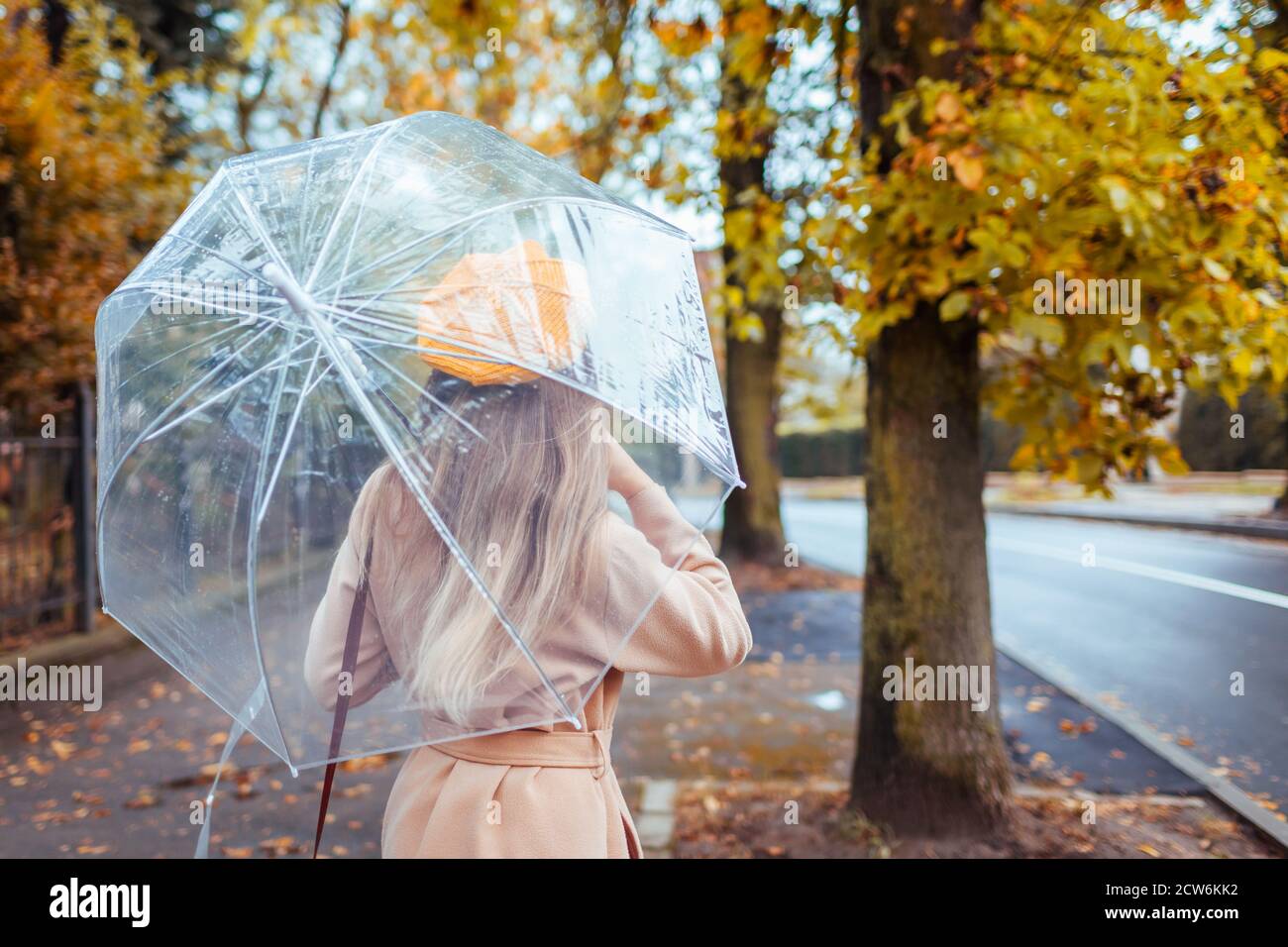Une femme à la mode en vêtements d'automne marche à l'extérieur sous un parapluie transparent sous la pluie. Météo d'automne. Banque D'Images